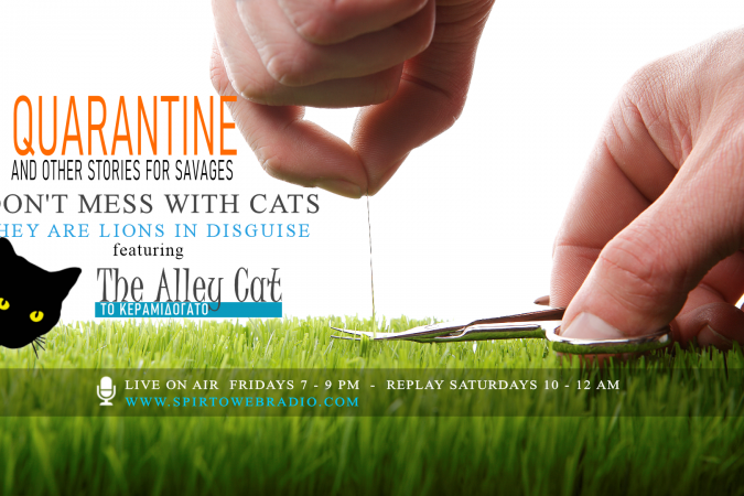 corona virus quarantine banner