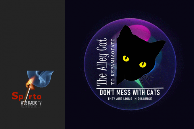 Don't Mess with Cats